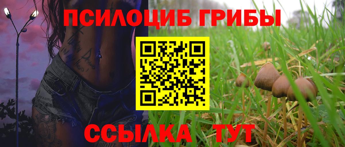 Аша  Галлюциногенные грибы GOLDEN TEACHER  Вход с VPN  Галлюциногенные грибы GOLDEN TEACHER 
